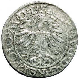 Picture 2 for: Half groschen 1565 Sigismund II Augustus Vilnius