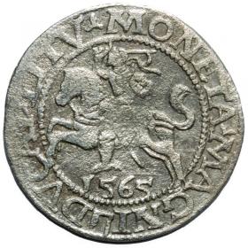 Picture for: Half groschen 1565 Sigismund II Augustus Vilnius