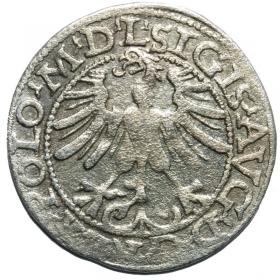 Picture 2 for: Half groschen 1565 Sigismund II Augustus Vilnius