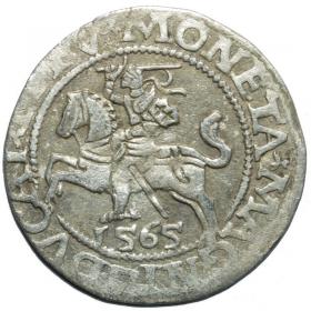 Picture for: Half groschen 1565 Sigismund II Augustus Vilnius