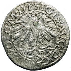 Picture 2 for: Half groschen 1565 Sigismund II Augustus Vilnius