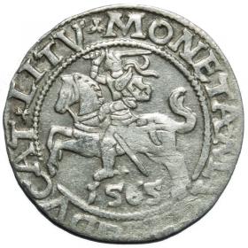 Picture for: Half groschen 1565 Sigismund II Augustus Vilnius