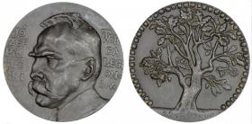 Picture for: Józef Piłsudski Twórca Legionów 1917