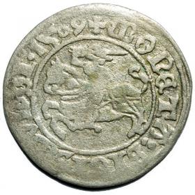 Picture for: Half groschen 1509 Sigismund I the Old Vilnius