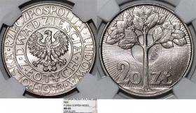 Picture for: 20 złotych 1973 drzewo próba GRADING NGC