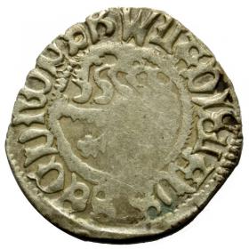 Picture for: Heller Wenceslaus II of Bohemia