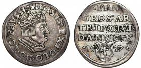 Picture for: Trojak 1537 Zygmunt I Stary Gdańsk