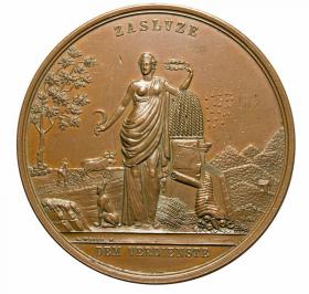 Picture for: Medal for merits 19th century Wroclaw