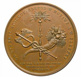 Picture 2 for: Medal for merits 19th century Wroclaw