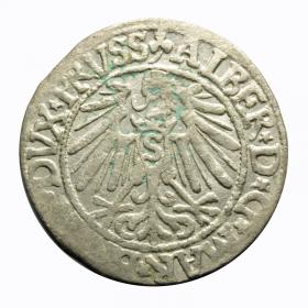Picture 2 for: Groschen 1545 Albert of Prussia Duchy of Prussia Kaliningrad