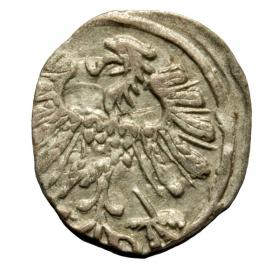 Picture 2 for: Denar 1558 Sigismund II Augustus Vilnius