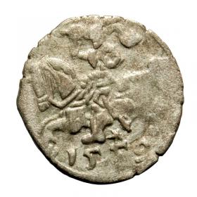 Picture for: Denar 1559 Sigismund II Augustus Vilnius