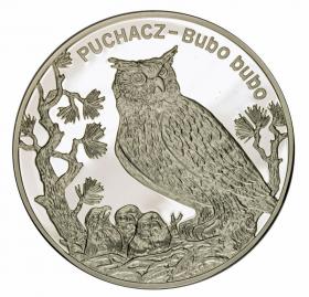 Picture for: 20 zl 2005 Eagle Owl