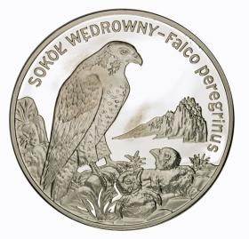 Picture for: 20 zl 2008 Peregrine Falcon