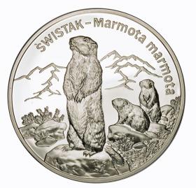 Picture for: 20 zl 2006 Marmot