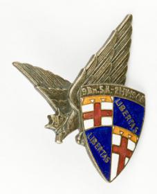 Picture for: Odznaka pamiątkowa 9 Batalion Strzelców Karpackich