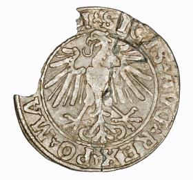 Picture 2 for: Half groschen 1548 Sigismund II Augustus Vilnius