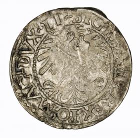 Picture 2 for: Half groschen 1559 Sigismund II Augustus Vilnius
