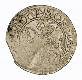 Picture for: Half groschen 1560 Sigismund II Augustus Vilnius