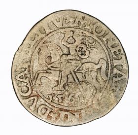 Picture for: Half groschen 1561 Sigismund II Augustus Vilnius