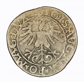 Picture 2 for: Half groschen 1561 Sigismund II Augustus Vilnius