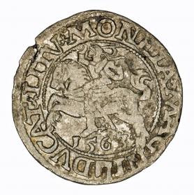Picture for: Half groschen 1563 Sigismund II Augustus Vilnius
