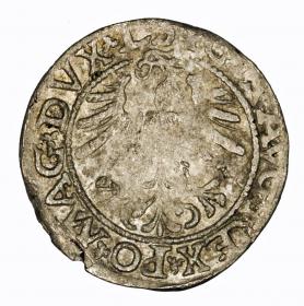 Picture 2 for: Half groschen 1563 Sigismund II Augustus Vilnius