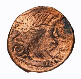 Picture for: Schilling Johann Kasimir