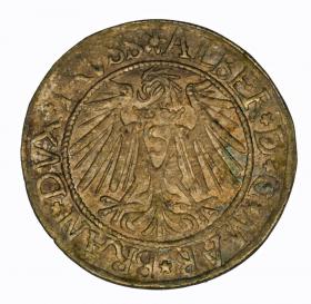 Picture 2 for: Groschen 1539 Albert of Prussia Duchy of Prussia Kaliningrad