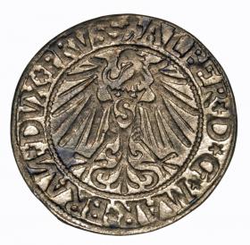 Picture 2 for: Groschen 1544 Albert of Prussia Duchy of Prussia Kaliningrad