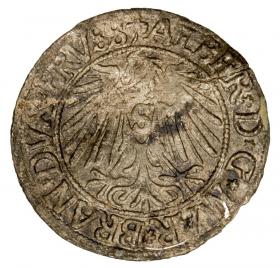 Picture 2 for: Groschen 1542 Albert of Prussia Duchy of Prussia Kaliningrad
