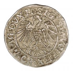 Picture 2 for: Half groschen 1547 Sigismund II Augustus Vilnius