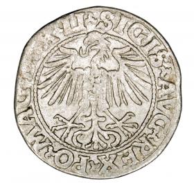 Picture 2 for: Half groschen 1548 Sigismund II Augustus Vilnius