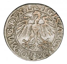 Picture 2 for: Half groschen 1548 Sigismund II Augustus Vilnius