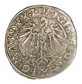 Picture 2 for: Half groschen 1548 Sigismund II Augustus Vilnius
