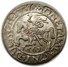Picture for: Półgrosz 1561 Zygmunt II August Wilno
