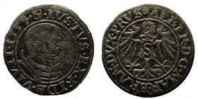 Picture for: Grosz pruski 1534 Albrecht Hohenzollern Królewiec