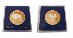 Picture for: 100 złotych 1977 Żubr Ochrona Środowiska srebro