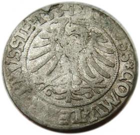 Picture 2 for: Grosz pruski 1534 Zygmunt I Stary Prusy Królewskie Toruń