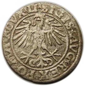 Picture 2 for: Półgrosz 1551 Zygmunt II August Wilno