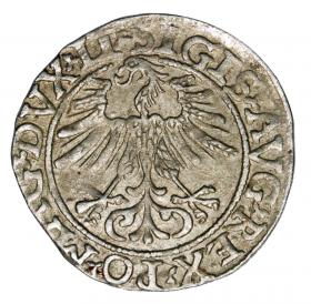 Picture 2 for: Halfgroschen 1561 Sigismund II Augustus Lithuania Vilnius