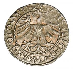 Picture 2 for: Halfgroschen 1565 Sigismund II Augustus Lithuania Vilnius