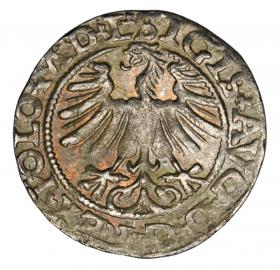 Picture 2 for: Halfgroschen 1565 Sigismund II Augustus Lithuania Vilnius