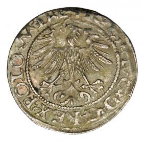 Picture 2 for: Halfgroschen 1565 Sigismund II Augustus Lithuania Vilnius