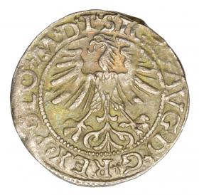 Picture 2 for: Halfgroschen 1565 Sigismund II Augustus Lithuania Vilnius