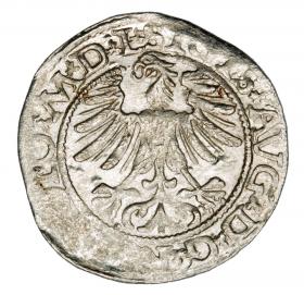 Picture 2 for: Halfgroschen 1565 Sigismund II Augustus Lithuania Vilnius