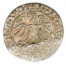 Picture 2 for: Halfgroschen 1565 Sigismund II Augustus Lithuania Vilnius