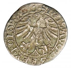 Picture 2 for: Halfgroschen 1565 Sigismund II Augustus Lithuania Vilnius