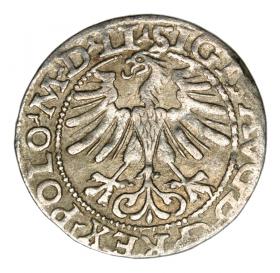 Picture 2 for: Halfgroschen 1565 Sigismund II Augustus Lithuania Vilnius