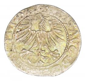 Picture 2 for: Halfgroschen 1564 Sigismund II Augustus Lithuania Vilnius